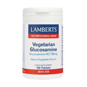 Lamberts Vegetarian Glucosamine 750mg 120 ταμπλέτες